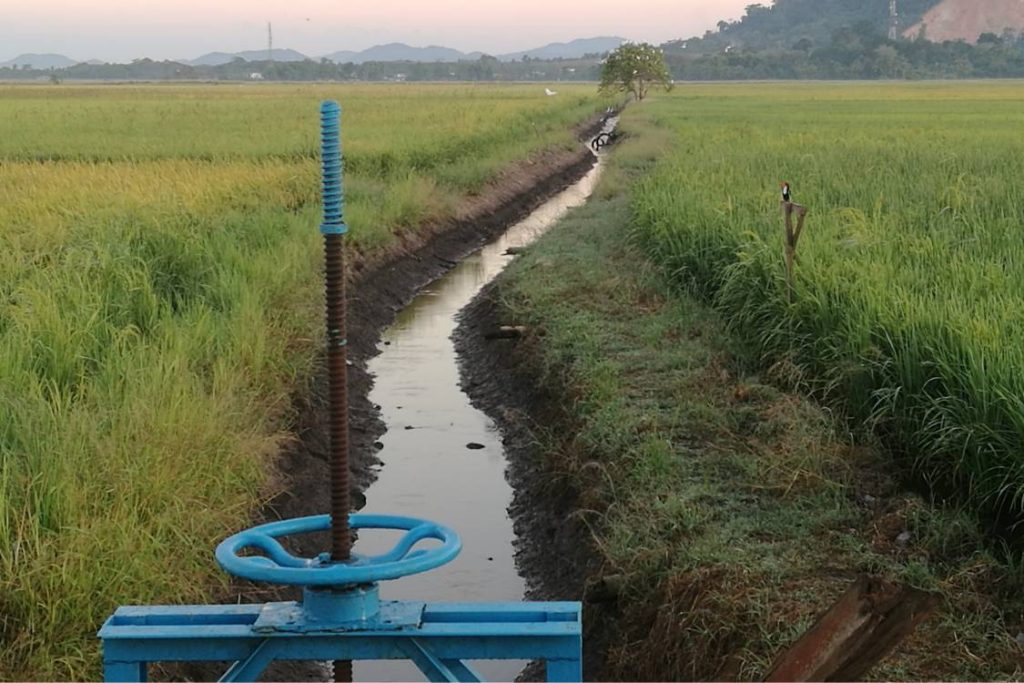 Agricultural Sector Stabilization