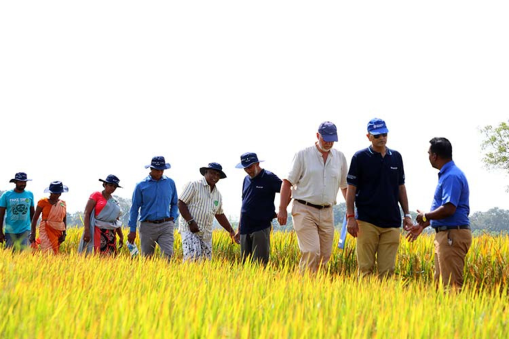 Sri Lanka Agriculture