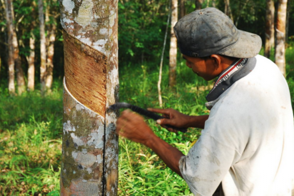 Rubber Exports