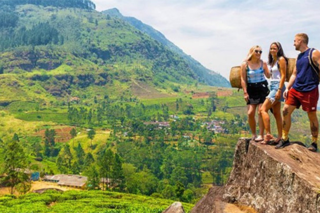 Tourism Growth | Tourism Industry