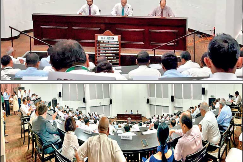 Colombo Tea Auction
