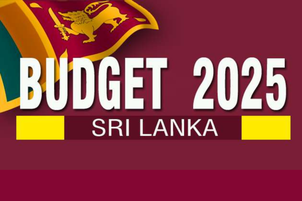 Budget for 2025 | 2025 Budget | SME Sector