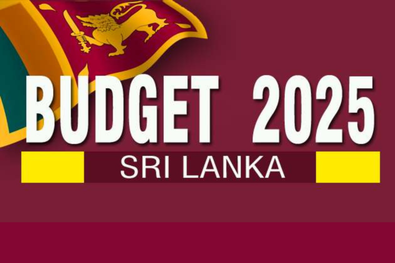 Budget for 2025 | 2025 Budget | SME Sector
