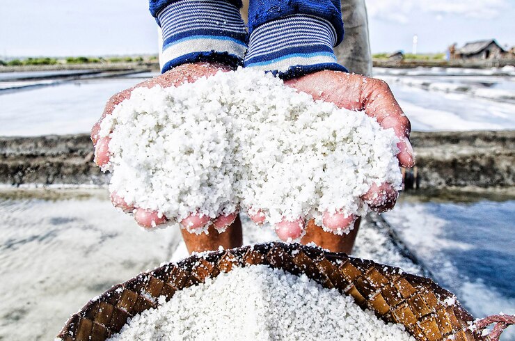 Salt Industry