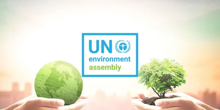 What is the Impact of UN Environmental Sessions on Sri Lanka?