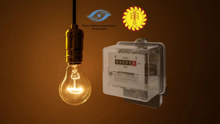 Why Was Sri Lanka’s CEB Split Into Six Companies? The Major Power Sector Reform Explained