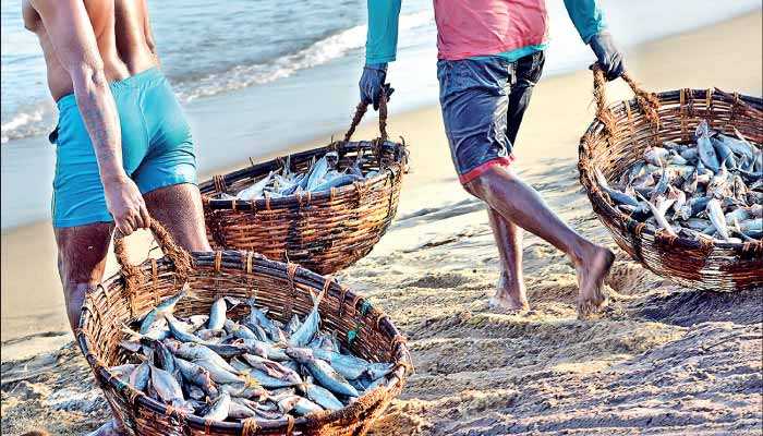 Sri Lanka’s Cabinet Approves Targeted Tariff Reforms: A Strategic Boost for Deep-Sea Fishing and Tuna Exports in 2025