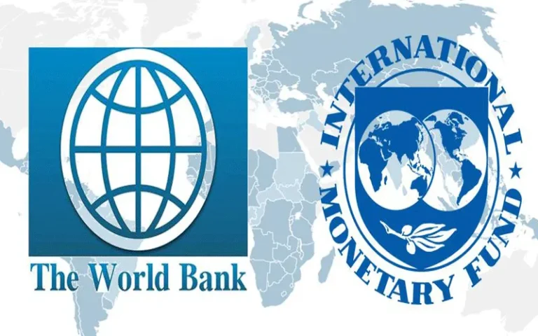 How Do the IMF and the World Bank Collaborate?