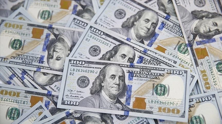 Sri Lankan Rupee Holds at Around 309-310 per USD in Early 2026: Persistent Challenges for Everyday Costs and Food Affordability