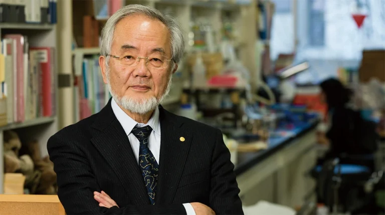 The Body’s Built-In Recycling System: Yoshinori Ohsumi’s Nobel Prize Discovery of Autophagy