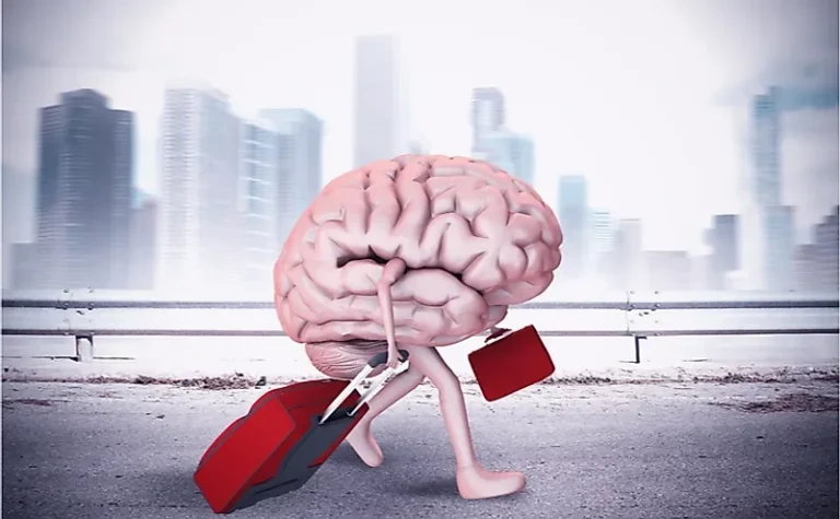 Is Brain Drain the Real Problem, or Is Talent Mismanagement the Deeper One?