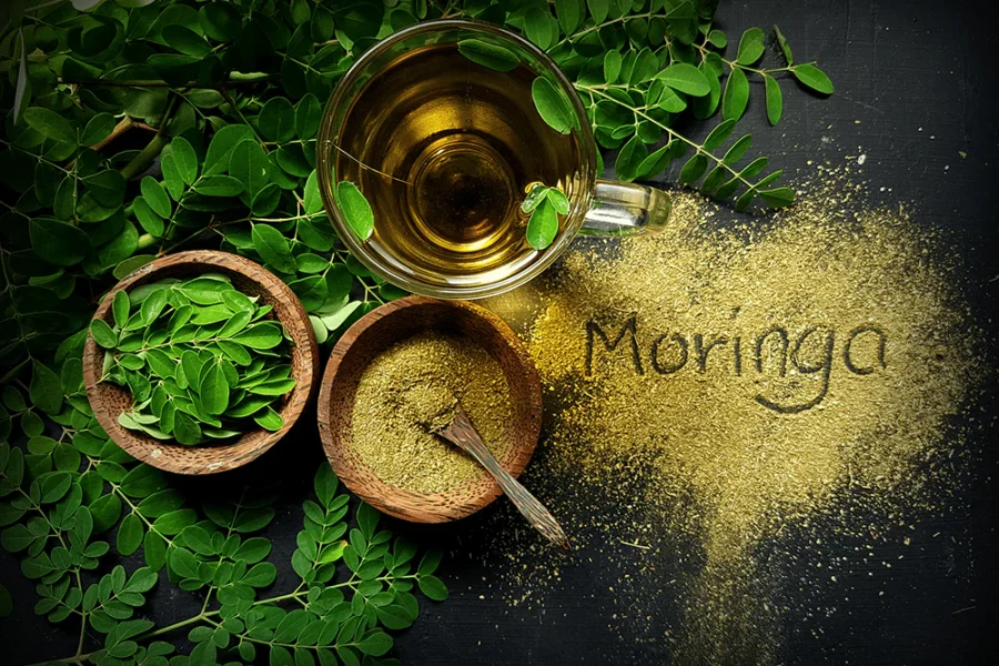 Moringa: Sri Lanka’s Ancient Superfood with Deep Roots Across South Asia
