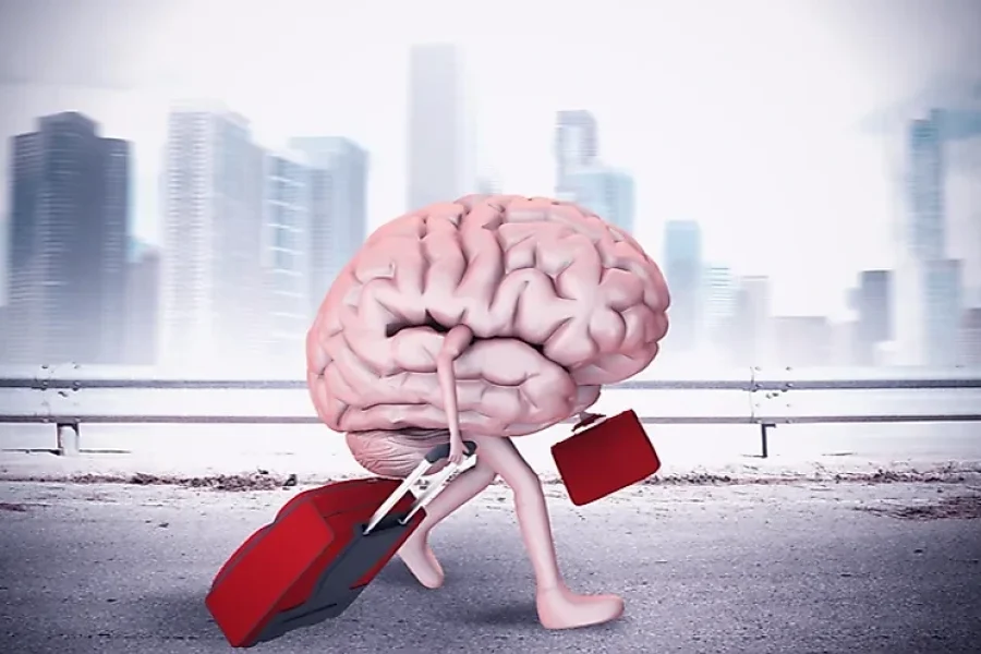 Is Brain Drain the Real Problem, or Is Talent Mismanagement the Deeper One?