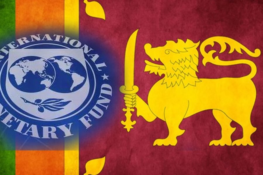 tax structure of imf