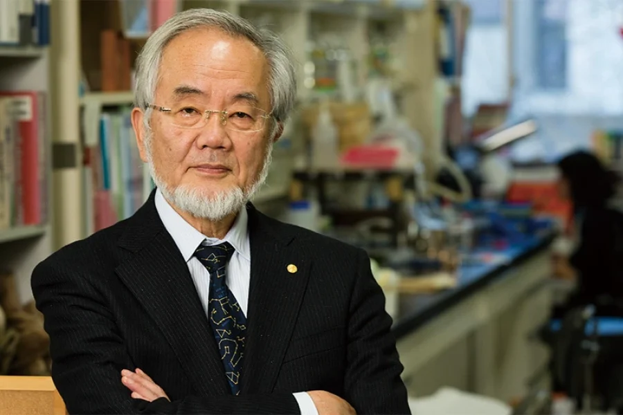 The Body’s Built-In Recycling System: Yoshinori Ohsumi’s Nobel Prize Discovery of Autophagy