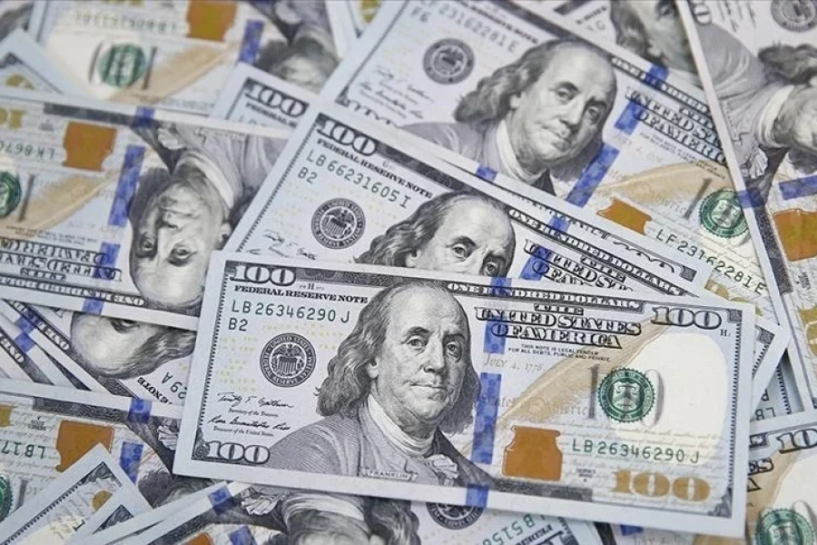 Sri Lankan Rupee Holds at Around 309-310 per USD in Early 2026: Persistent Challenges for Everyday Costs and Food Affordability