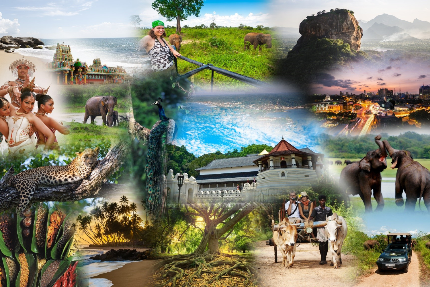 tourism
