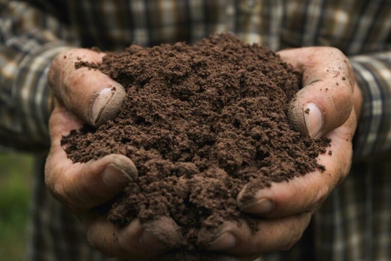 Agriculture