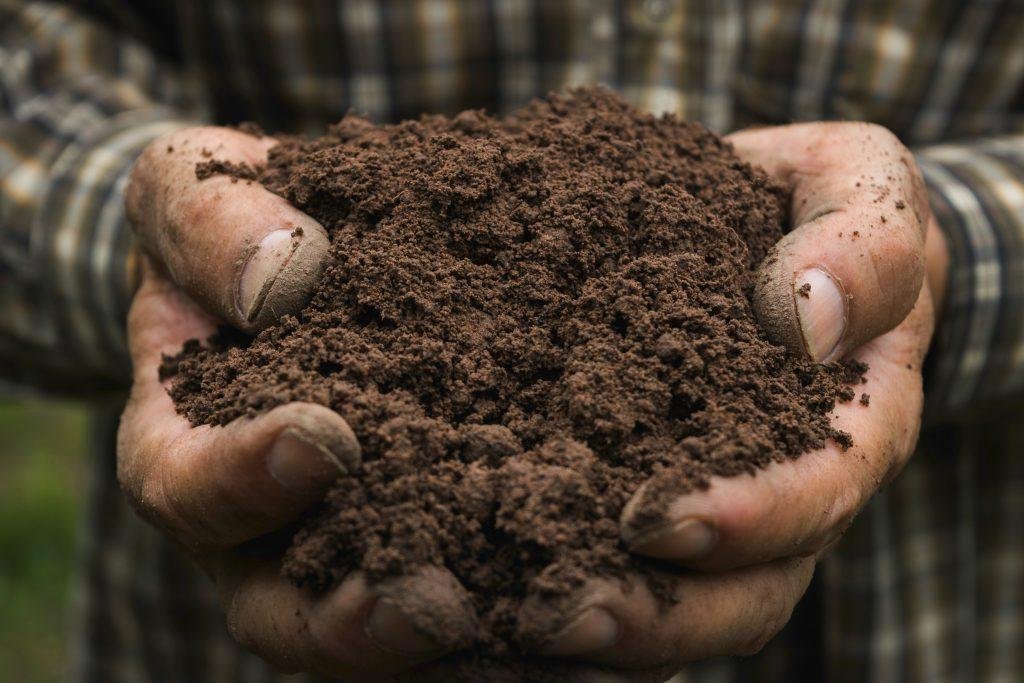 Agriculture