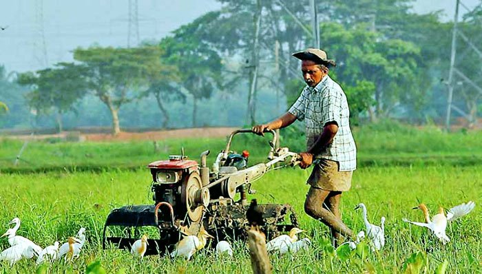 Agriculture