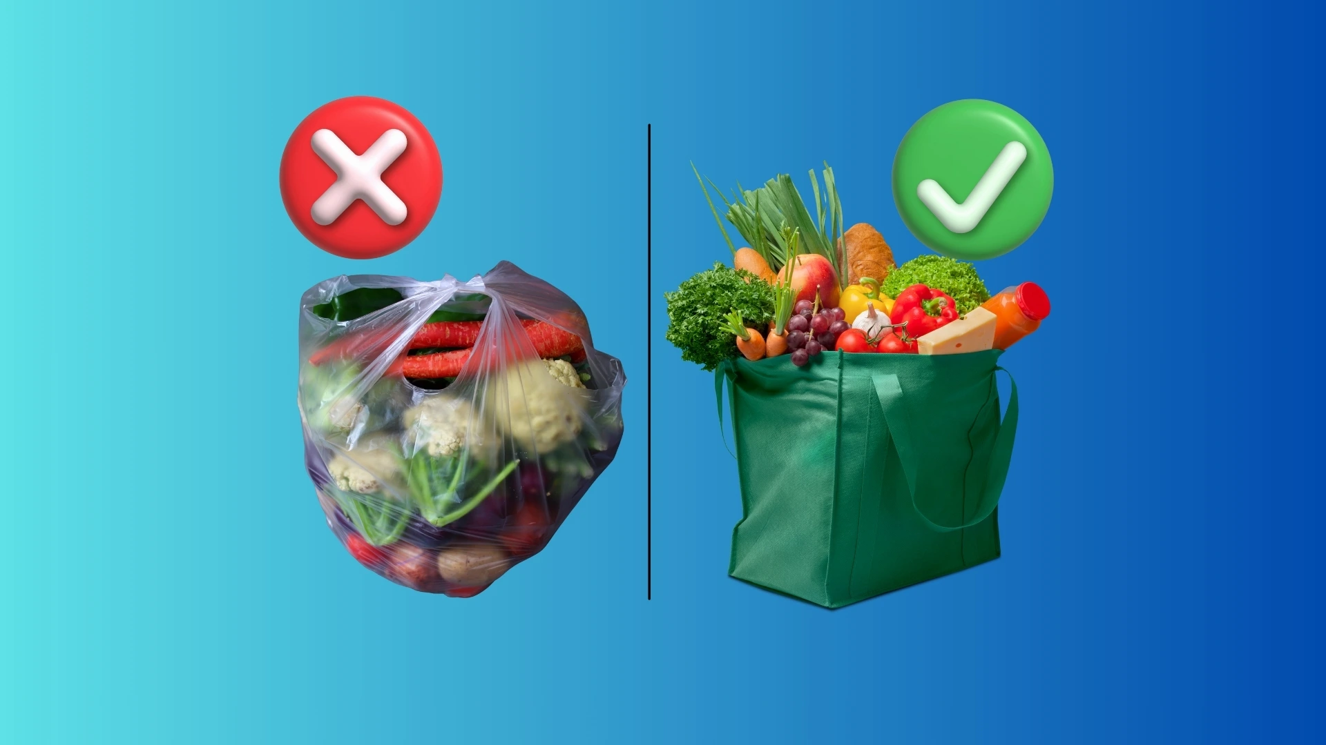 Sri Lanka's Plastic Bag Levy: A Promising Start to Curbing Single-Use Waste