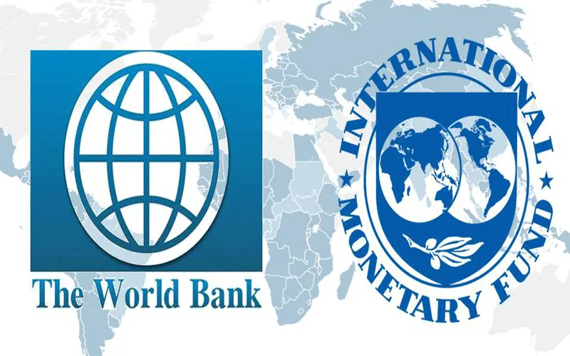 How Do the IMF and the World Bank Collaborate?