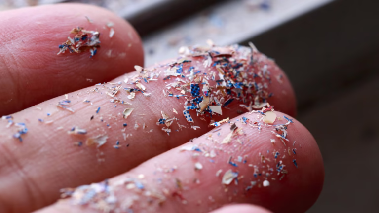 Microplastics in humans are no longer just a theory but a growing scientific concern.