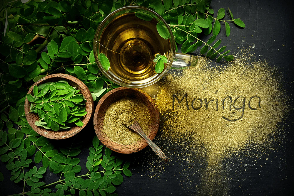 Moringa: Sri Lanka’s Ancient Superfood with Deep Roots Across South Asia