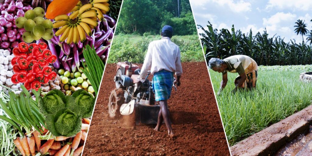 Are Sri Lanka’s Agriculture Sector & Farmers Ready for Climate Change?