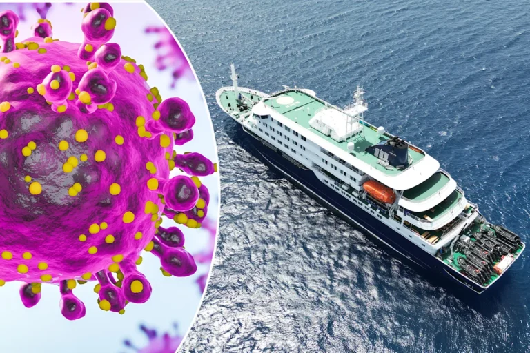 Hantavirus Outbreak on Cruise Ship: What Sri Lankans Need to Know About This Rare but Serious Threat