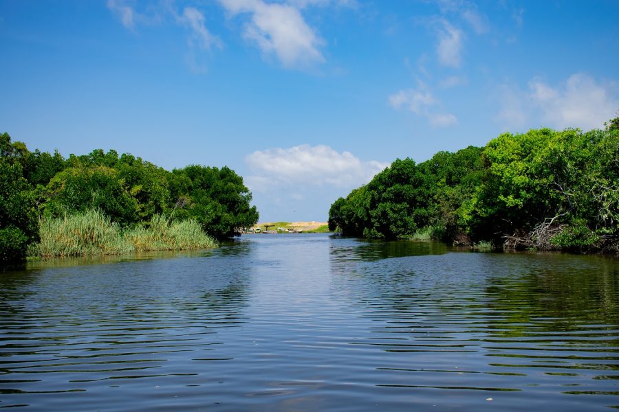 Coastal Ecosystems