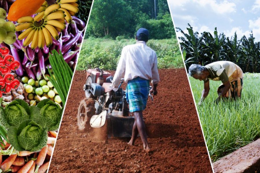 Are Sri Lanka’s Agriculture Sector & Farmers Ready for Climate Change?