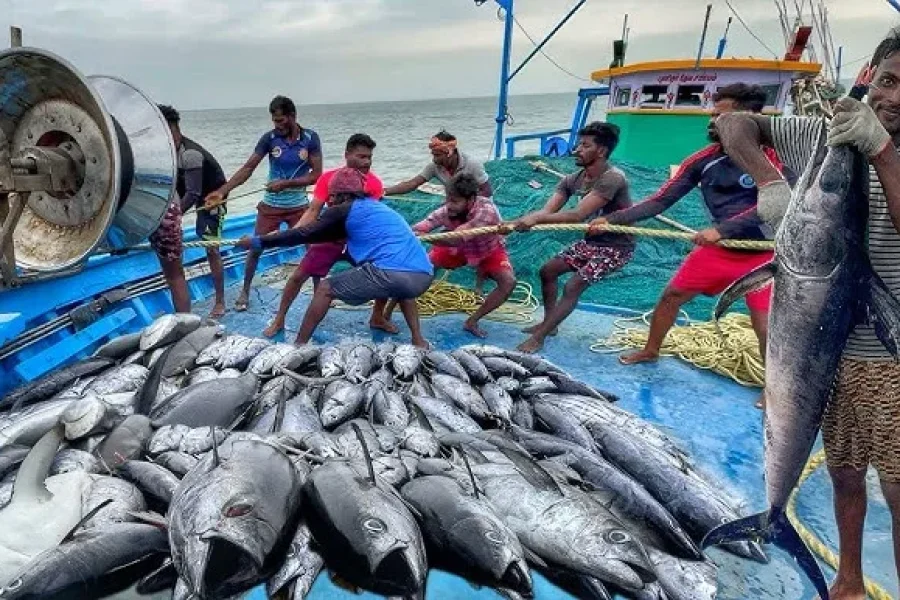 Sri Lanka’s Cabinet Approves Targeted Tariff Reforms: A Strategic Boost for Deep-Sea Fishing and Tuna Exports in 2025