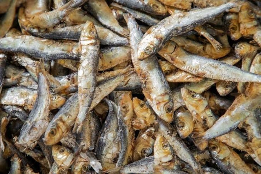 Aflatoxin in Dried Fish: What Sri Lankan Consumers Should Know