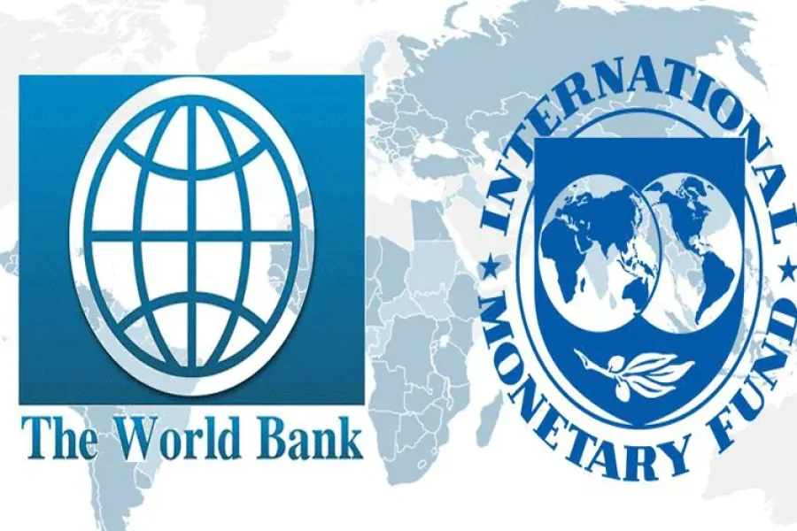 How Do the IMF and the World Bank Collaborate?