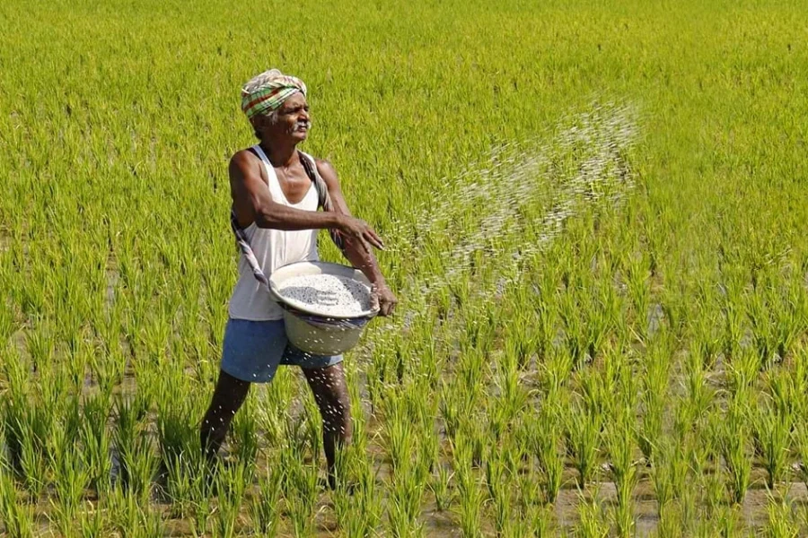 Sri Lanka’s Fertiliser Subsidy: What It Solves, What It Breaks, and How to Fix It