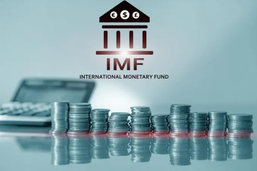 Do IMF-Supported Programs Impose Austerity on Countries in Financial Crisis?