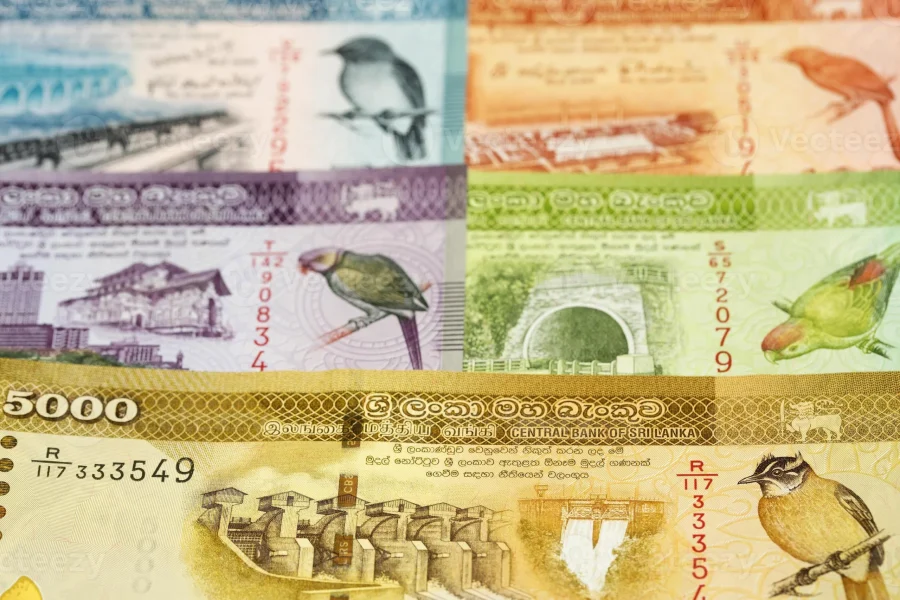 Why Is the Sri Lankan Rupee Weakening in 2026? A Bloomberg Analysis