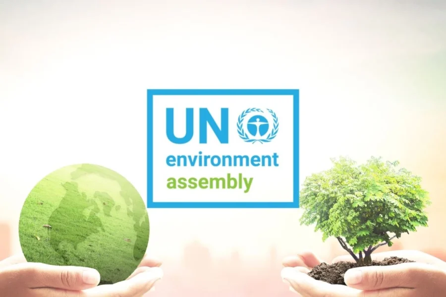 What is the Impact of UN Environmental Sessions on Sri Lanka?